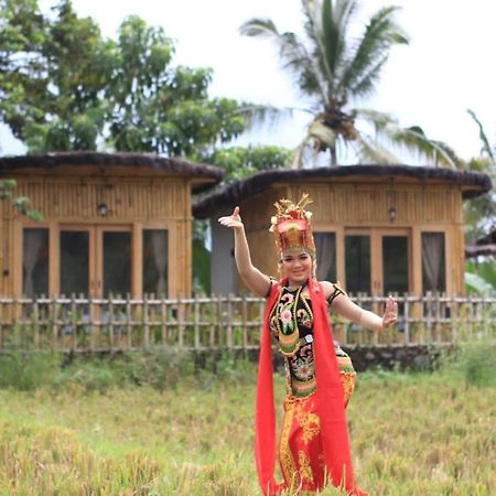 Sawah Ijen Hotell Licin Exteriör bild