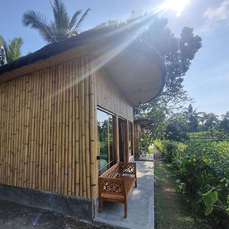 Sawah Ijen Hotell Licin Exteriör bild