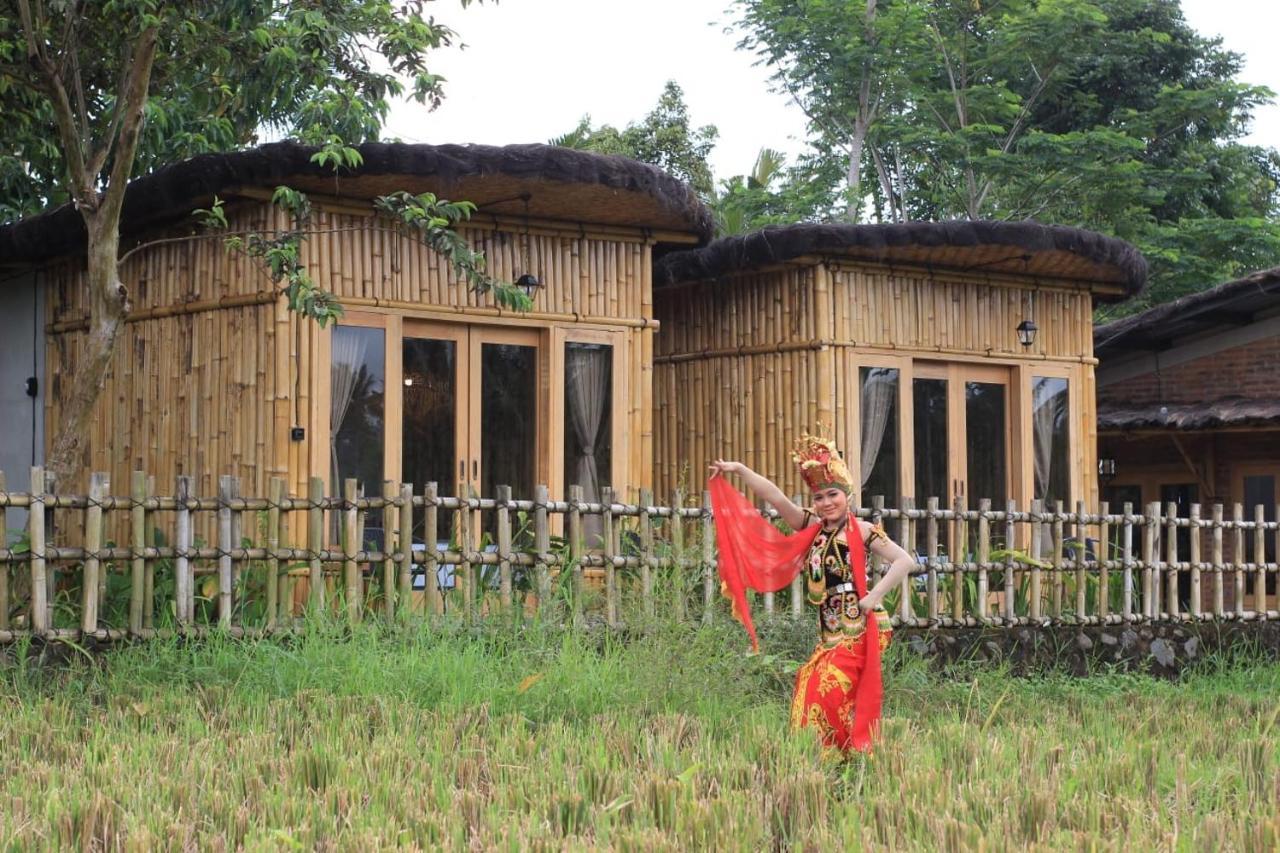 Sawah Ijen Hotell Licin Exteriör bild