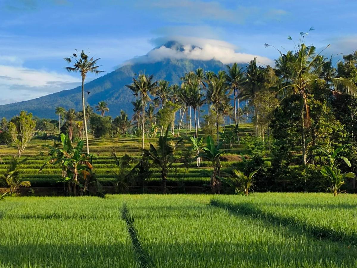 Sawah Ijen Hotell Licin Exteriör bild